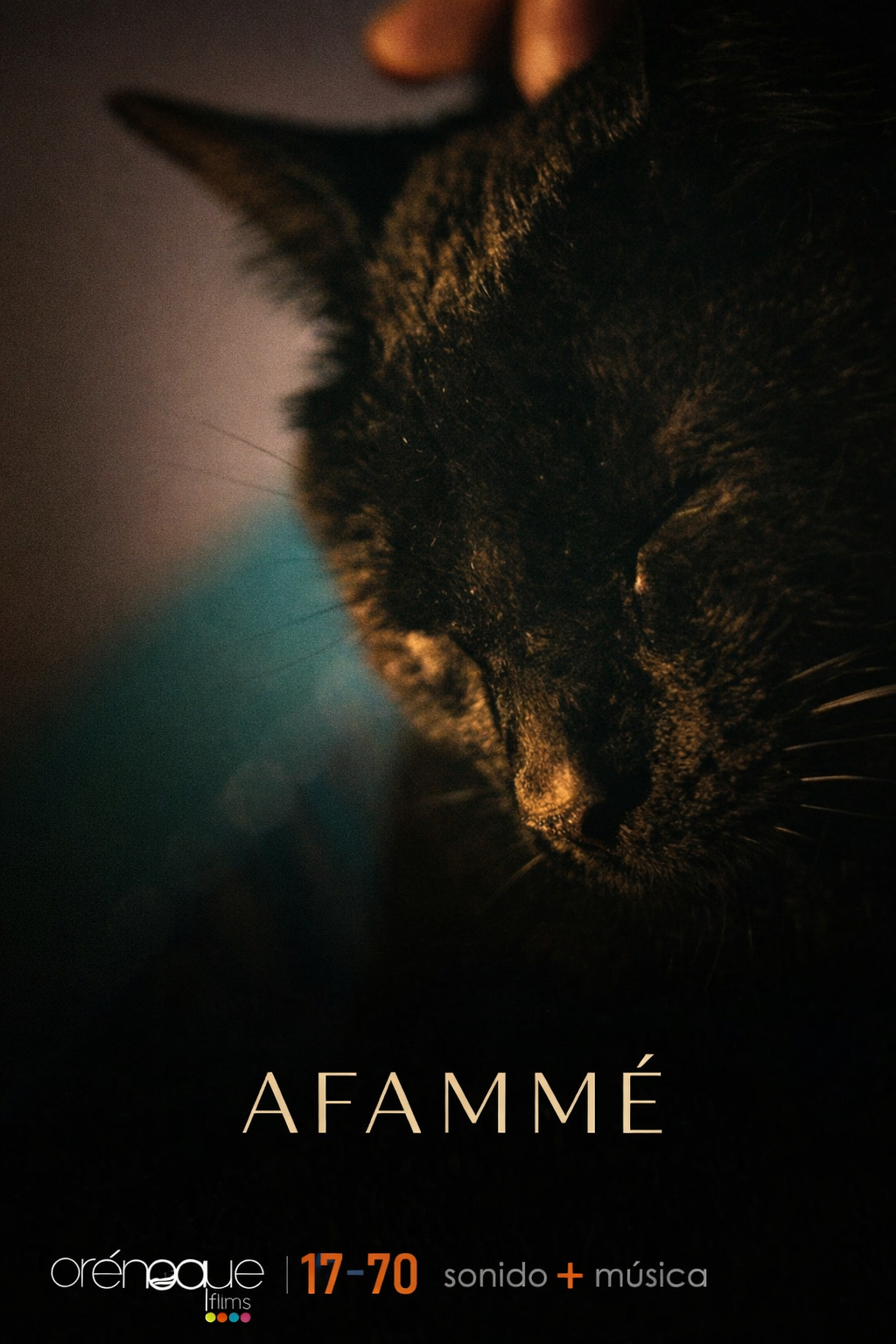 Afammé poster