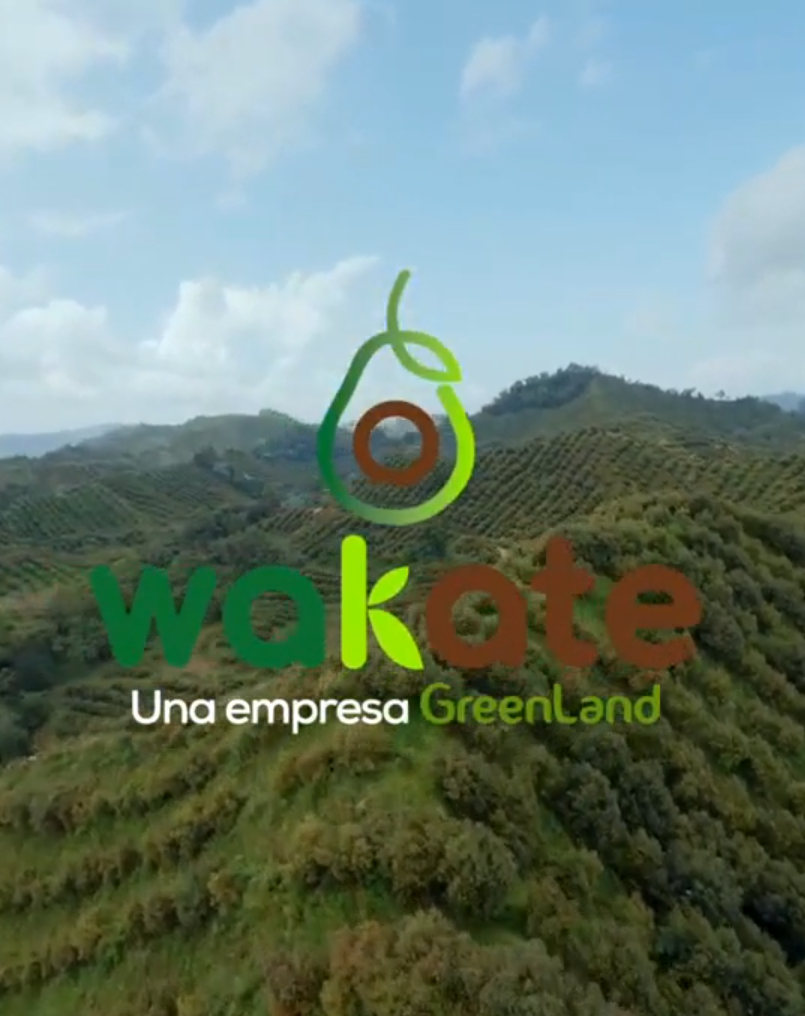 Wakate poster